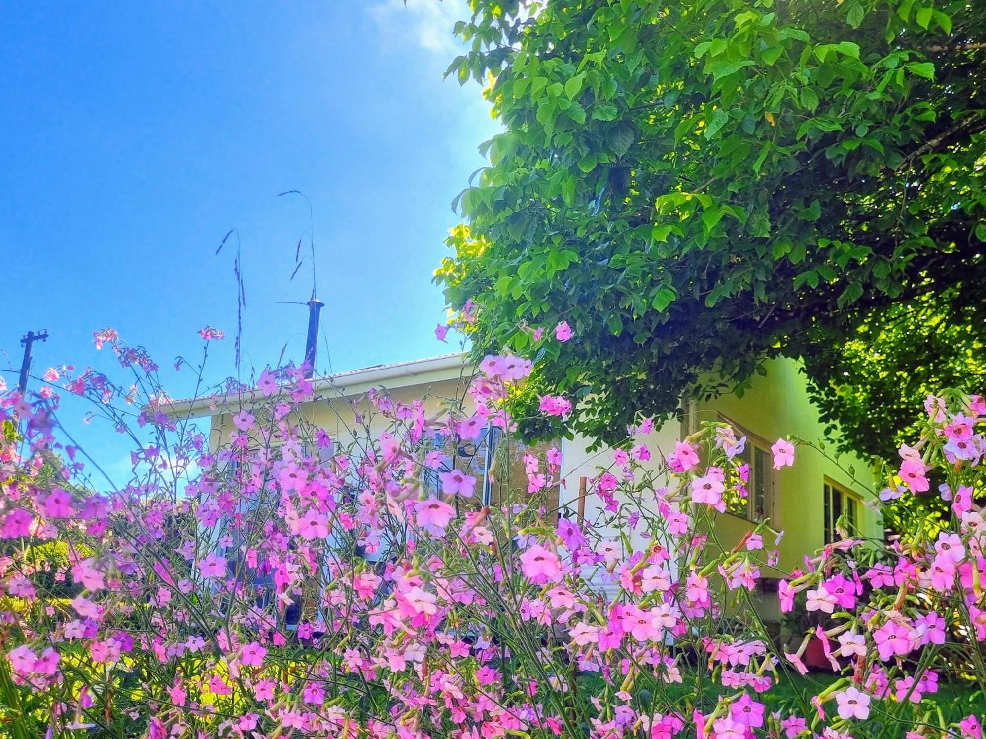 The Cottage On The Corner Himeville Esterno foto
